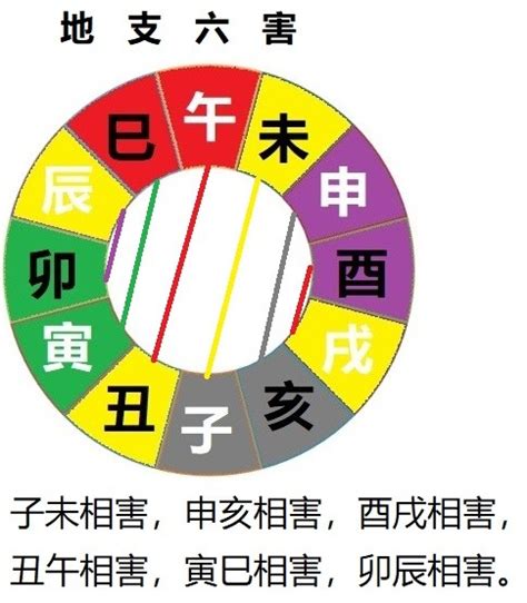 卯合|三合、三会、六合、六害、三刑地支（属相知识）